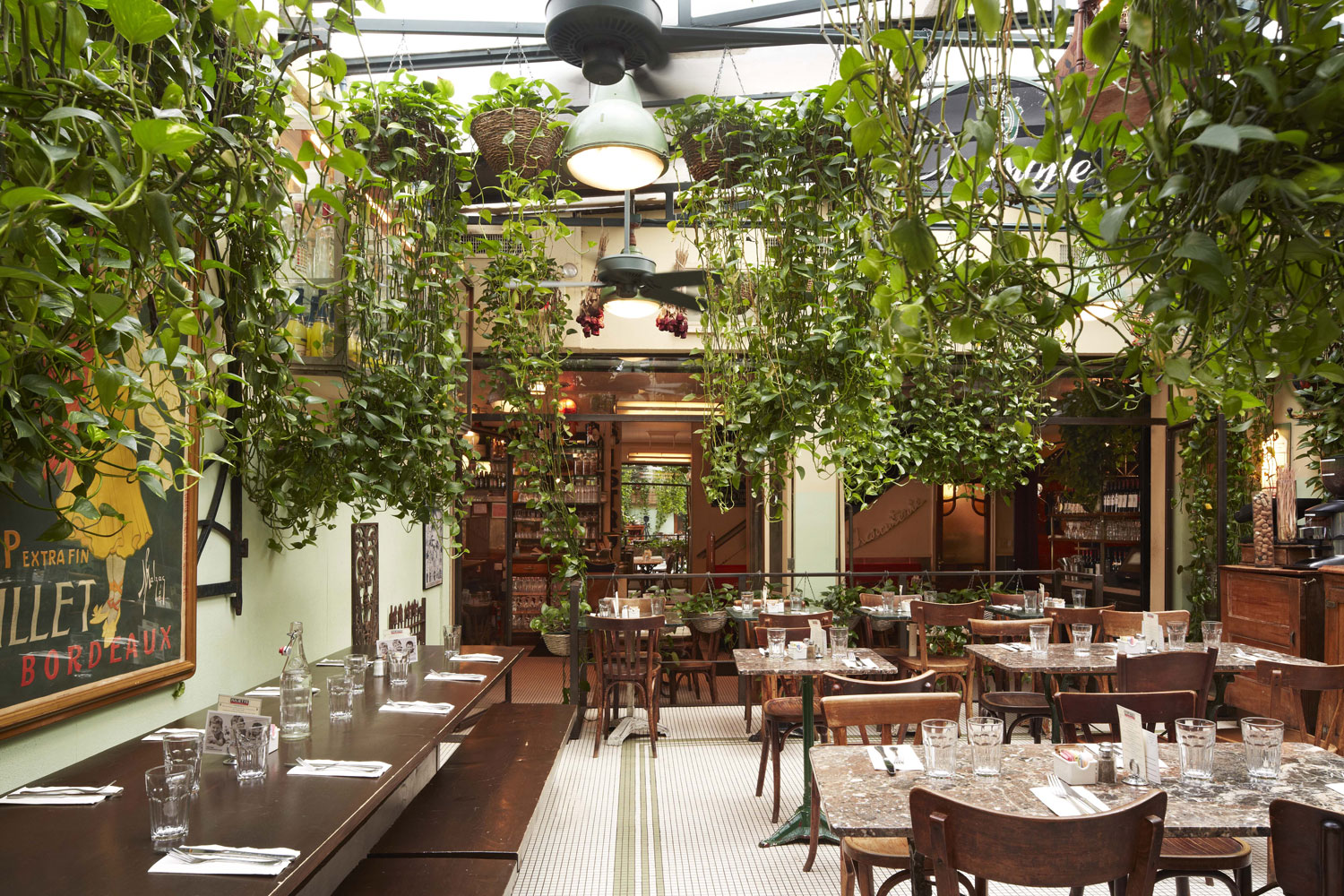 Beautiful hanging greenery in the main space.